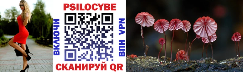 площадка клад  Новый Оскол  Псилоцибиновые грибы Psilocybe 